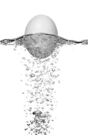 O que você acha: um ovo flutua ou afunda na água?